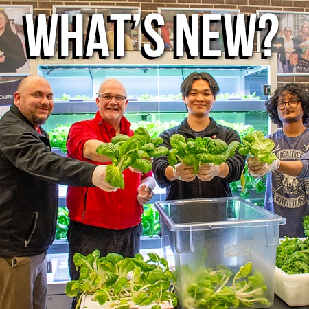 What’s New in College Unions and Student Activities?